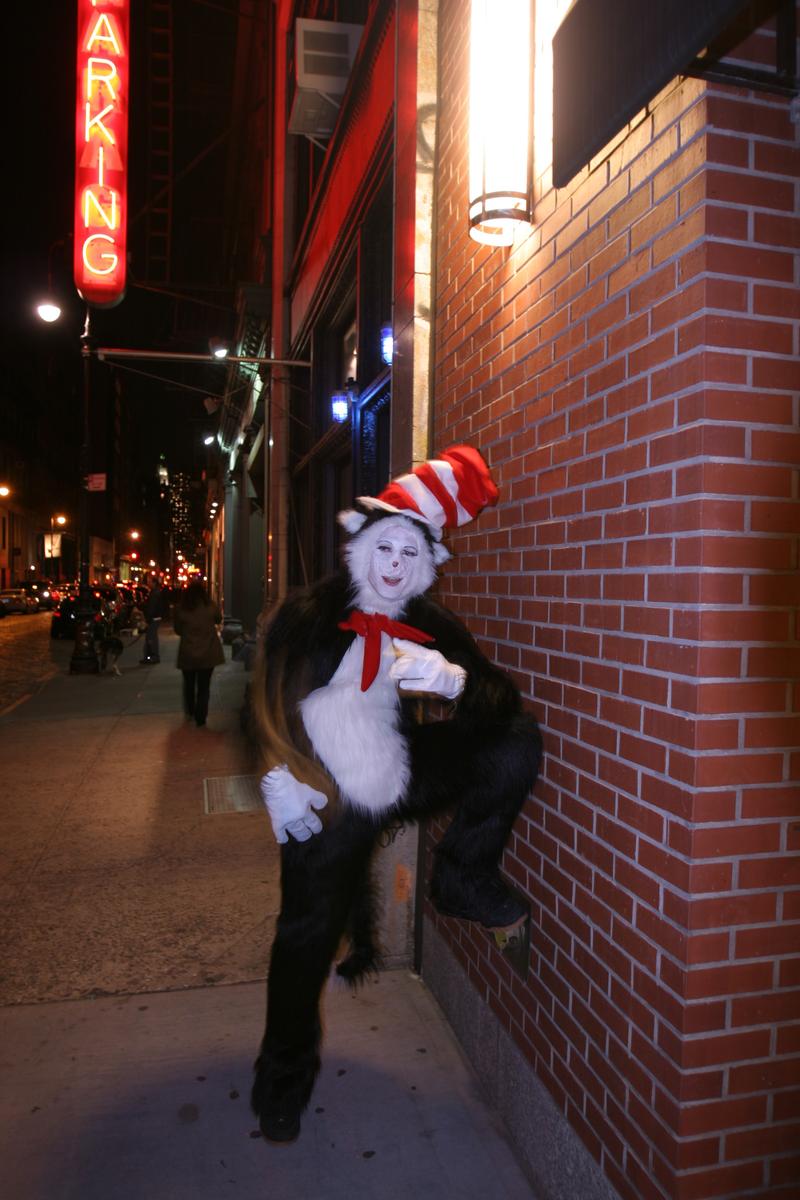 Cat in the Hat costume