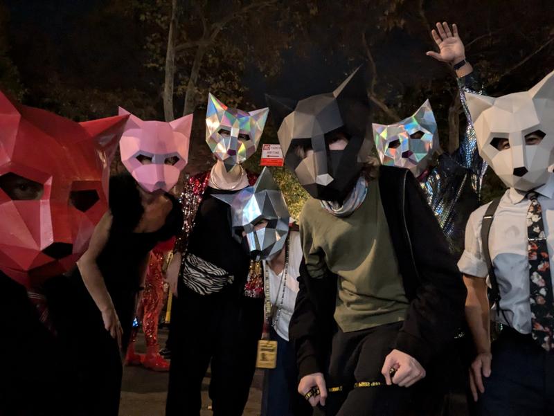 Papercraft cat heads